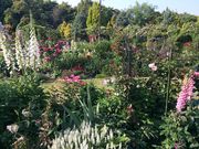 肳̎OzfBAt[~[WAitsԂ̔pفj̓eʐ^1