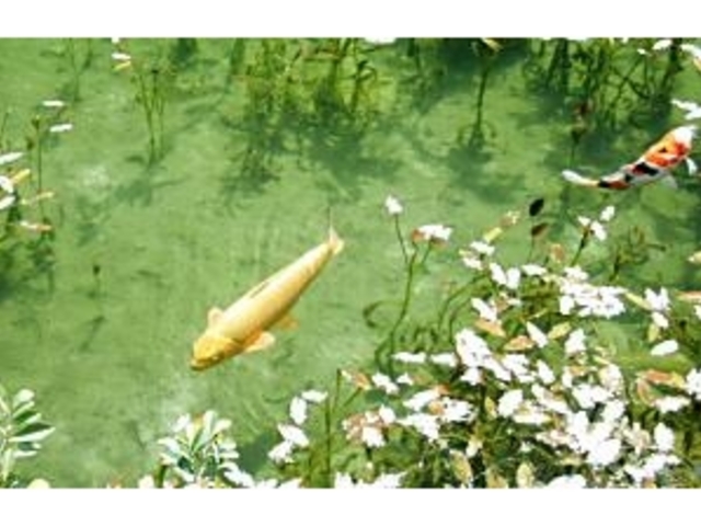 �r�̌�������B_���l�̒r�@�򕌌�