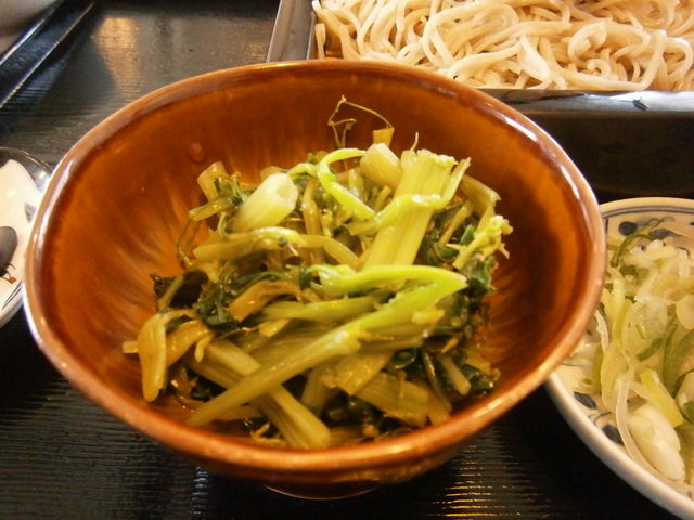 킳т̗t `ɓċƈꏏɐH܂_Җؖ {X