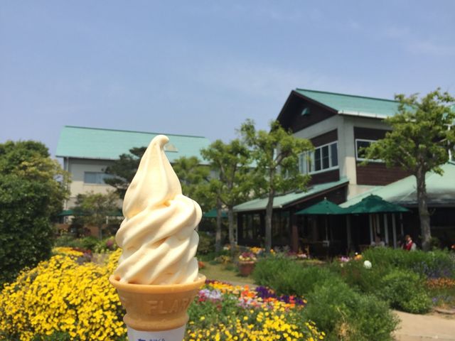 ����̕@�𒭂߂Ȃ�����i�\�t�g_���̉w�Ƃ݂�����f��y��