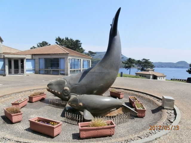 񂳂̐فE̊ق̓eʐ^1