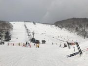 SHIN̎uꍂGAu̐_ChXL[v̓eʐ^1