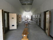 Kitten̏{sj̗̓eʐ^7