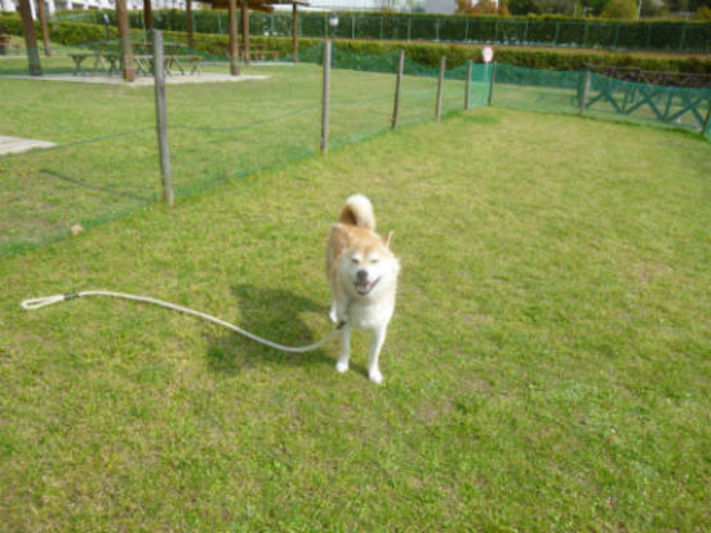 hbO
喞I_RK[f][g@ze@[UuJ