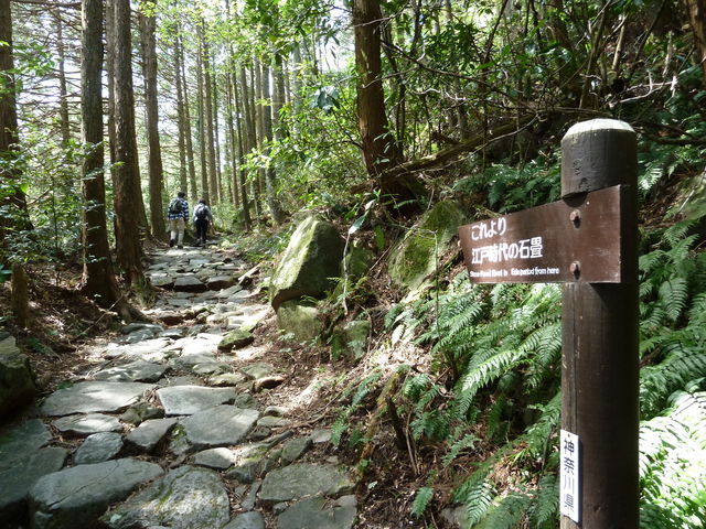 Mas����̔������X���̓��e�ʐ^7