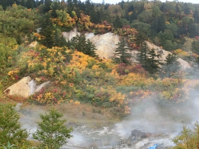 �������̍g�t�i�ӂ��̓�����j_������