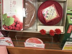 ~Nۂ̂̈䃖c v GXpXւ̓eʐ^1