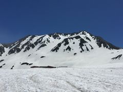 ͂񂳂̗RAy[gyxRzւ̓eʐ^1