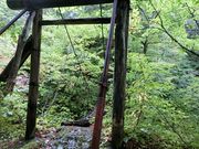 ɂǂ񂳂̒߂̓̓eʐ^1