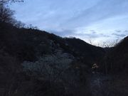 hiro̐ےËԂ̗yRفz̓eʐ^1