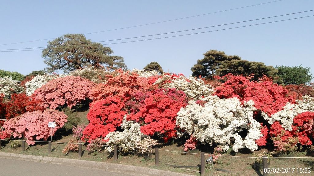 つつじが岡公園 アクセス 営業時間 料金情報 じゃらんnet