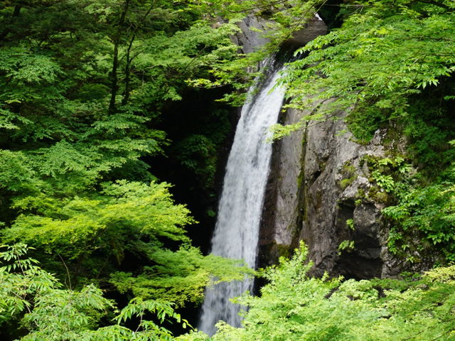 J`̑劘̑i߉꒬j̓eʐ^1