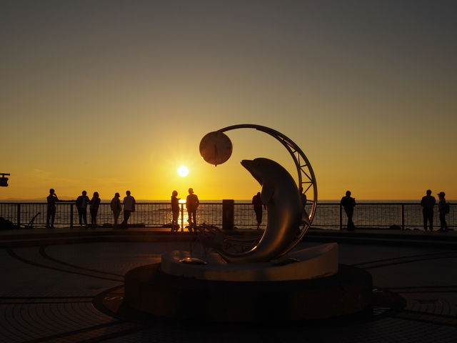 �C���J�̃��j�������g���[�z�ɉf���܂��B_�m�V���b�v��