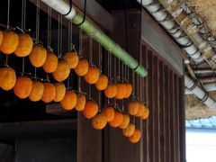 OSHIZU̎OB~ւ̓eʐ^1