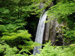 カメチャンさんの大釜の滝（徳島県那賀町）の投稿写真1