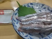 KAZẐނ炩ݐH̓eʐ^1