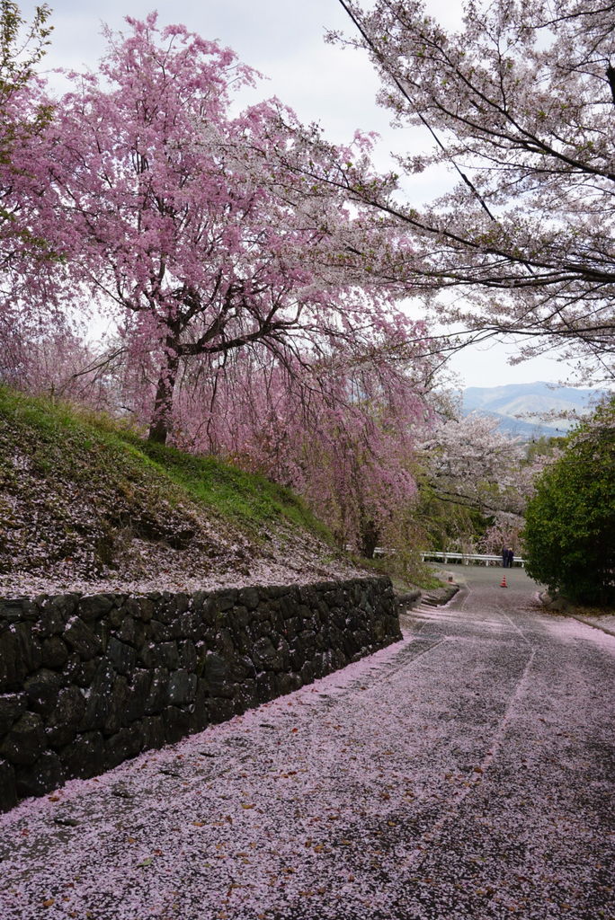 貞光駅周辺の公園・庭園ランキングTOP10 - じゃらんnet