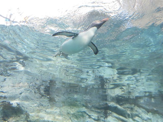 ��ׂ�y���M��_���R������