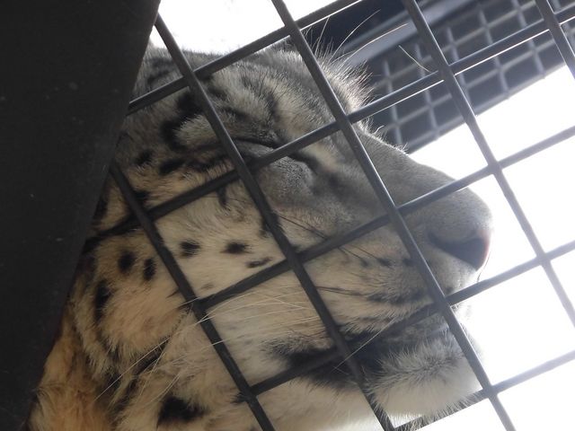 �S�n������_���R������