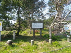 ��������̐C�΂ւ̓��e�ʐ^1