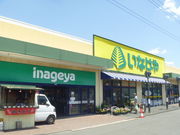 gV[̂Ȃ a͑ˉwOX̓eʐ^1