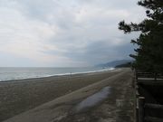 L̃qXCC݁i{EC݁j̓eʐ^1