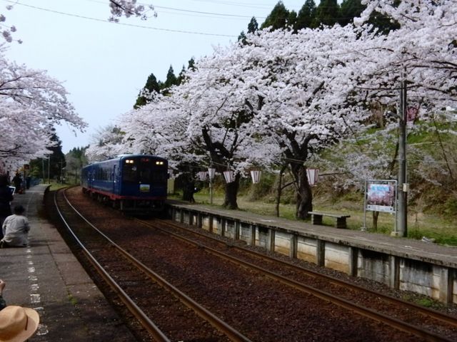 matsuy̔\ow̍̓eʐ^2