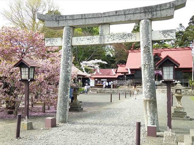 ����_���O�_��