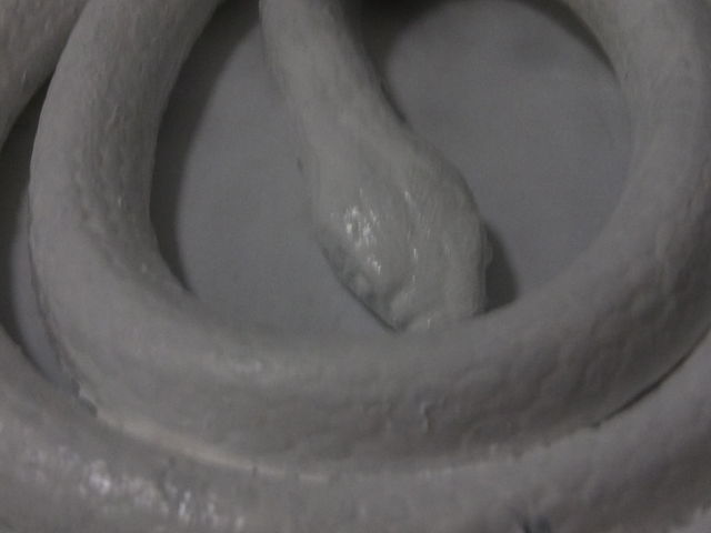 �K�􂢕ٍ��V�@��鋍�v�@�����__���v���c�R�@�^��