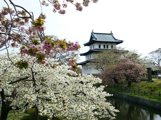 ���Ə��O��_���O��