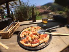 G.G̃t@[}[Yq(ނ)ւ̓eʐ^1