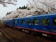 matsuy̔\ow̍̓eʐ^3