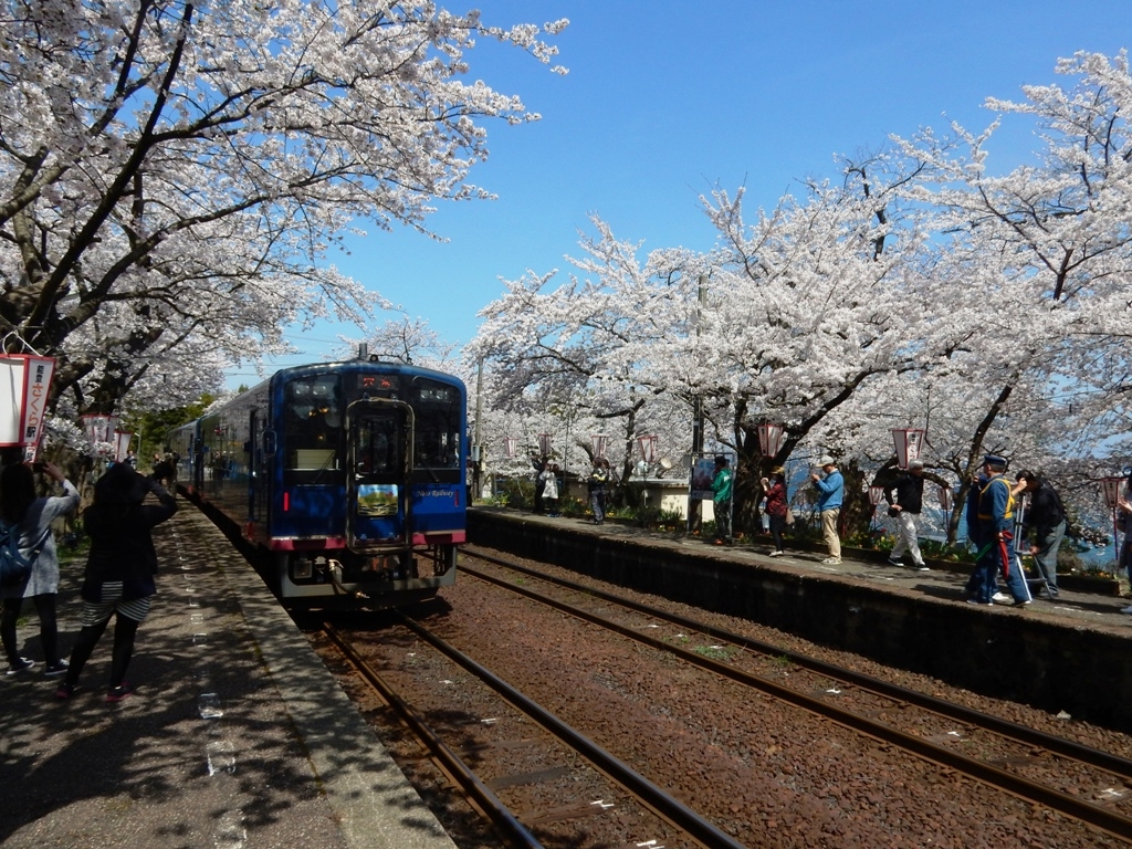 能登さくら駅の桜