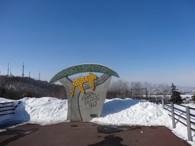 ����s���R������_���R������