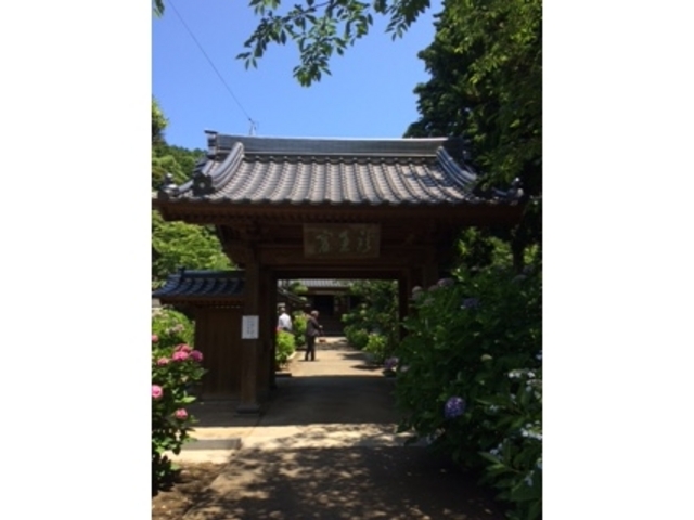 �Ђ��񂳂�̌������^���������̓��e�ʐ^1