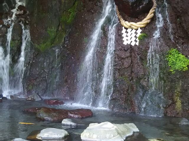 �V�������̑�ł��B
���₳��܂��B_�ʗ��̑�