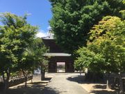 }Cann̉痳E痳R({c)̓eʐ^1