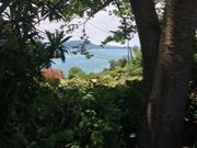 �Ђ��񂳂�̌������^���������̓��e�ʐ^2