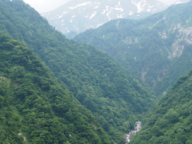 渓谷遡行資料 渓谷 1巻～7巻 西尾寿一 京都の山の会 登山