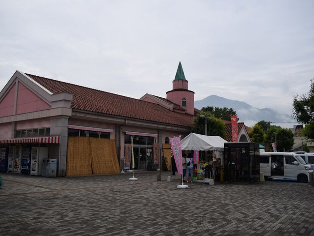 �S�i�ł��B_���̉w ������