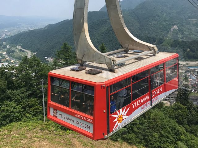 ���[�v�E�F�C�̂���Ⴂ_���򍂌��X�L�[��