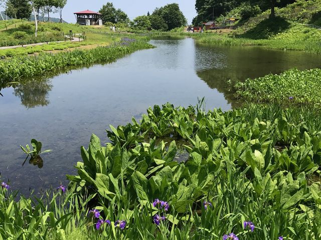 �����̏�̒r_���򍂌��X�L�[��