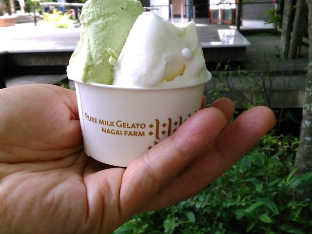 ΐFAXpKX̃ACXłBB_y򐯖GA@njeX