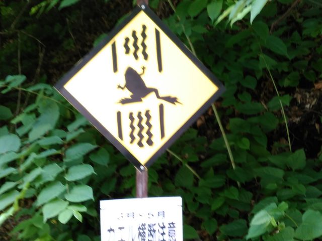 ˑRɃJG񂪏oė邩H_y򐯖GA@njeX