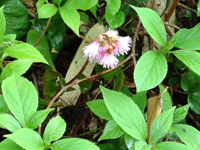 �⋾_������