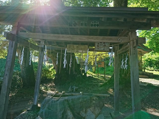 ���W�E������̎萅��_�O���_��