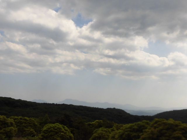 ڂ肳̖qm˓W]̓eʐ^1