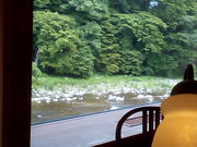 ˉԎq̃JtFXg@mivj̓eʐ^1