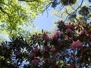 ܂܂ς񂾂̑䃖̃VNiQ̓eʐ^1