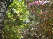 ܂܂ς񂾂̑䃖̃VNiQ̓eʐ^2